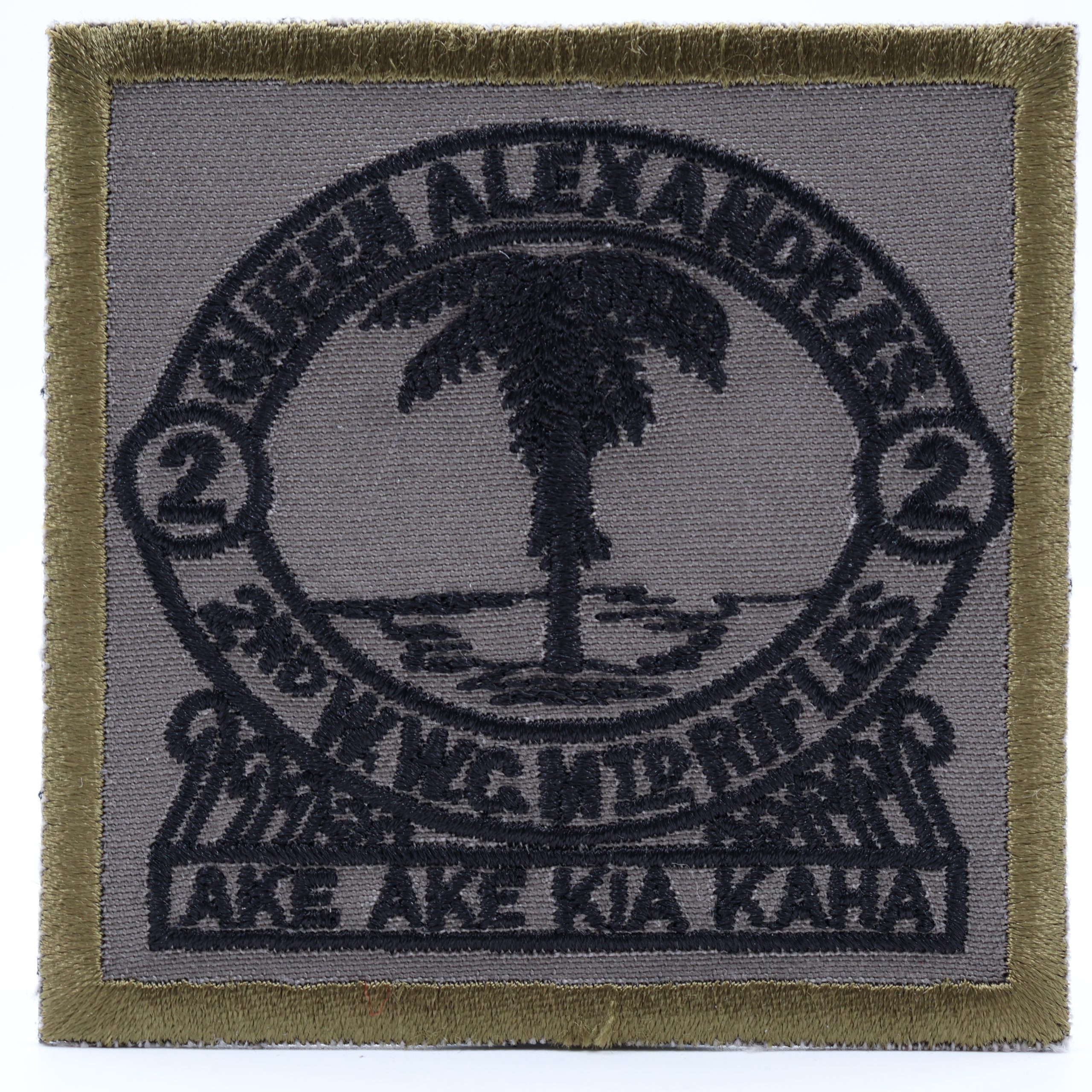 Queen Alexandra's 2nd Wellington West Coast Mounted Rifles | Unit Patch